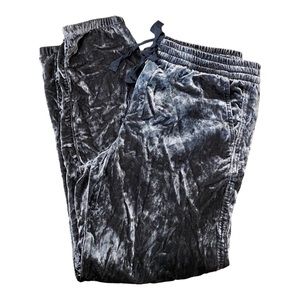 Women’s Gap Joggers grey velour velvet silky soft size XS NEW never worn